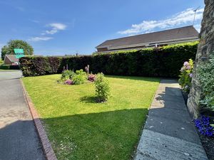 Front Garden- click for photo gallery